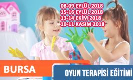 Oyun Terapisi Eğitimi - BURSA (08/09 Eylül 2018)