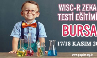 21. WISC-R Zeka Testi Eğitimi - BURSA (17/18 Kasım 2018)