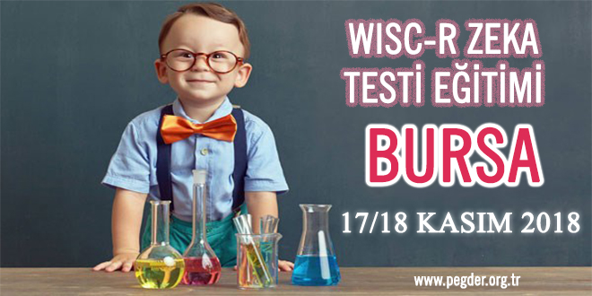 21. WISC-R Zeka Testi Eğitimi – BURSA (17/18 Kasım 2018)